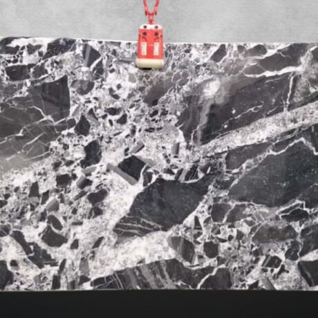 White RocheP-SLU_lnk1