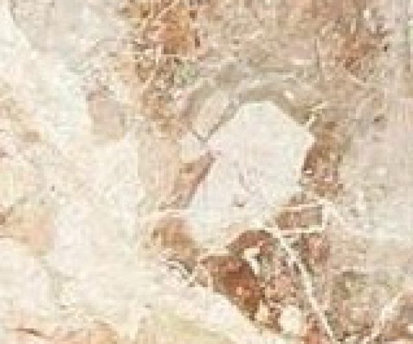 U_lnk3Ceppo Monet/Leath2SL