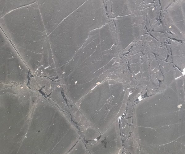 U_lnk3Negresco2/Leath2SL