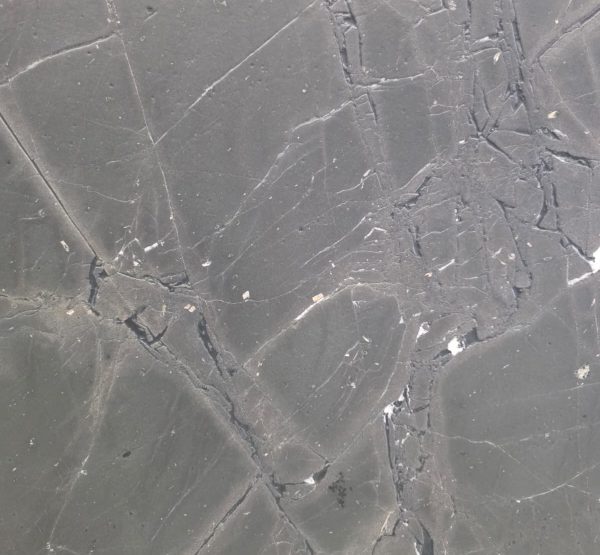 U_lnk3Negresco2/Leath2SL