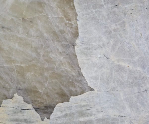 U_lnk3Patagonia White/2pSL