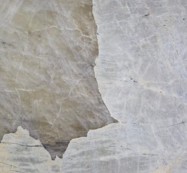 U_lnk3Patagonia White/2pSL