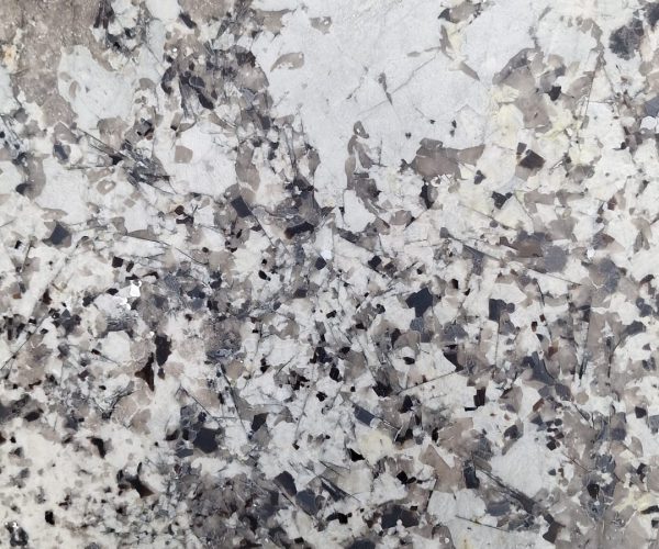 U_lnk3PatagoniaBlue 2Leather-SL