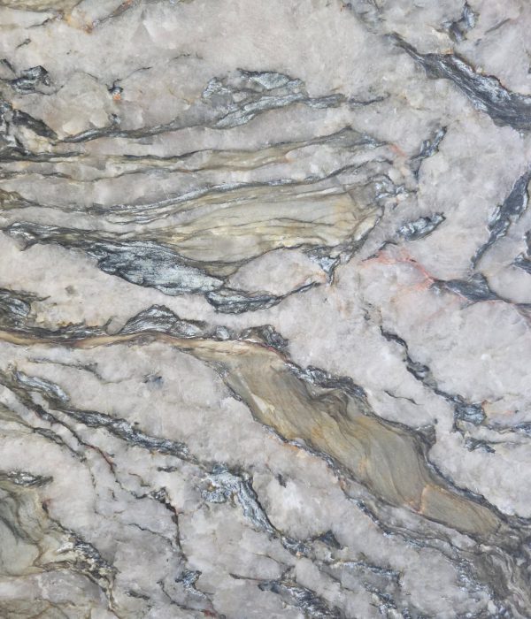 U_lnk4BlueTempest1/Leath2SL