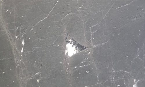 U_lnk4Negresco2/Leath2SL