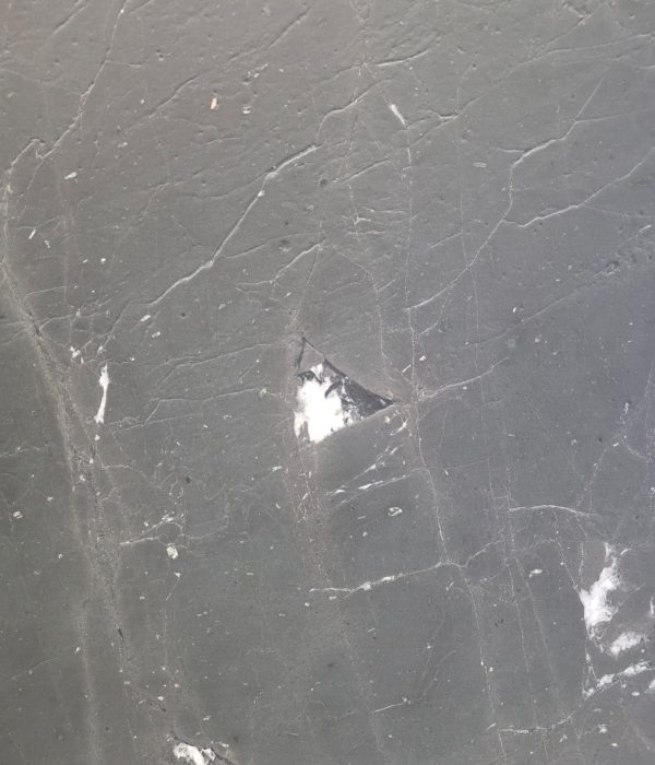 U_lnk4Negresco2/Leath2SL