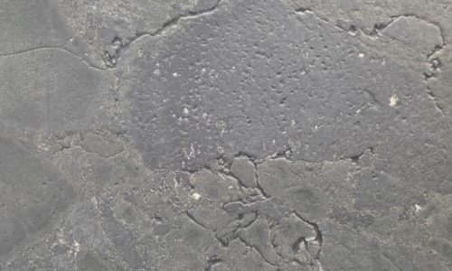 U_lnk4Negresco3/Leath2SL