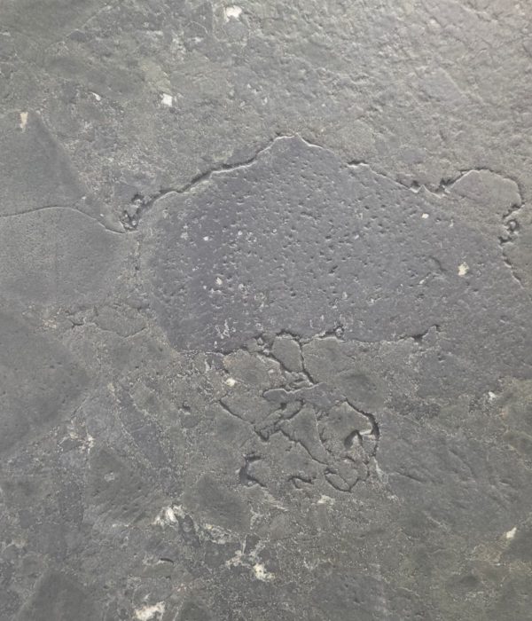 U_lnk4Negresco3/Leath2SL