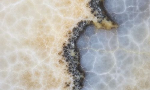 U_lnk4ONIXMIELE-HO/slab2