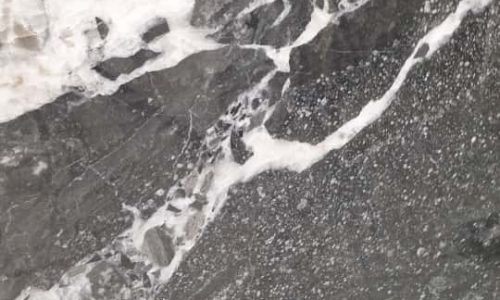 U_lnk4White RocheP-SL