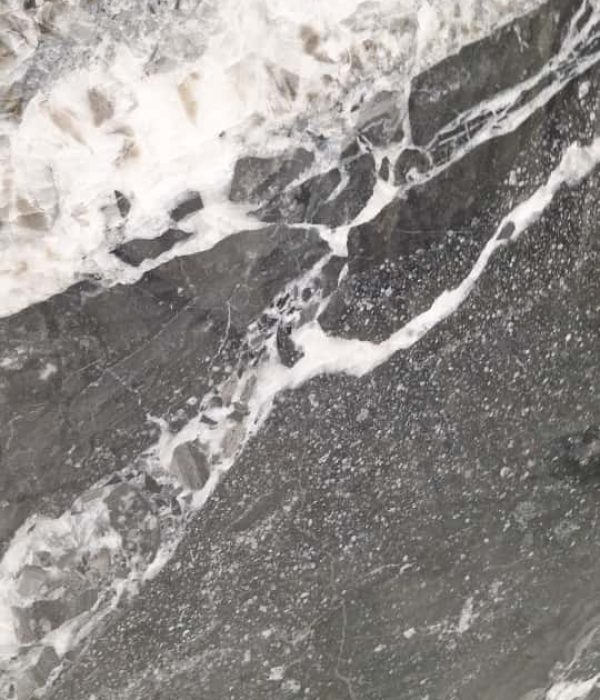 U_lnk4White RocheP-SL